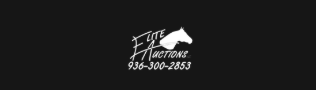 Elite Auctions LLC Texas Ranches elite-auctions-llc-texas-ranches