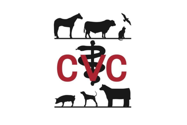 Chachere Veterinary Clinic PC | Texas Ranches